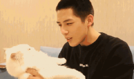 吃瓜爆料肖战陈星旭,娱乐圈风云再起