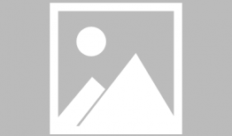 耽美动漫百日蔷薇,耽美世界中的青春与救赎